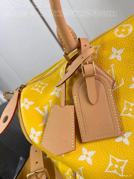 Frstbag ru Vuitton 40 Louis SPEEDY 0317