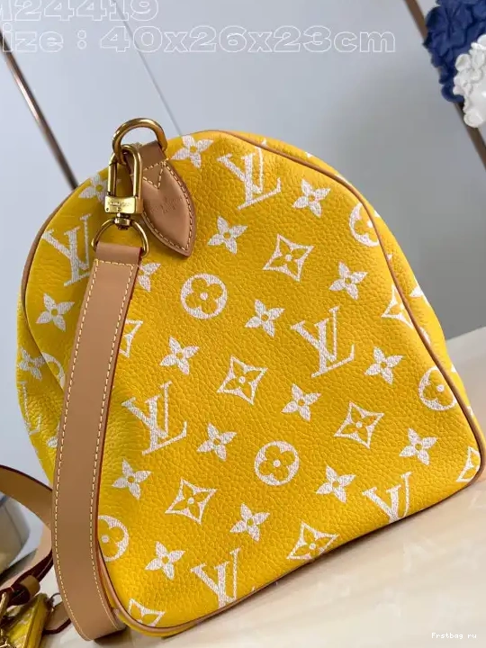 First bag ru Vuitton 40 Louis SPEEDY 0317